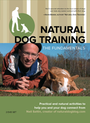 Order the Natural Dog Training DVDs