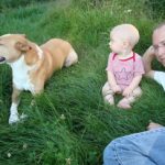 Natural Dog Training Fundamentals:  How pushing teaches your dog what to do with their energy