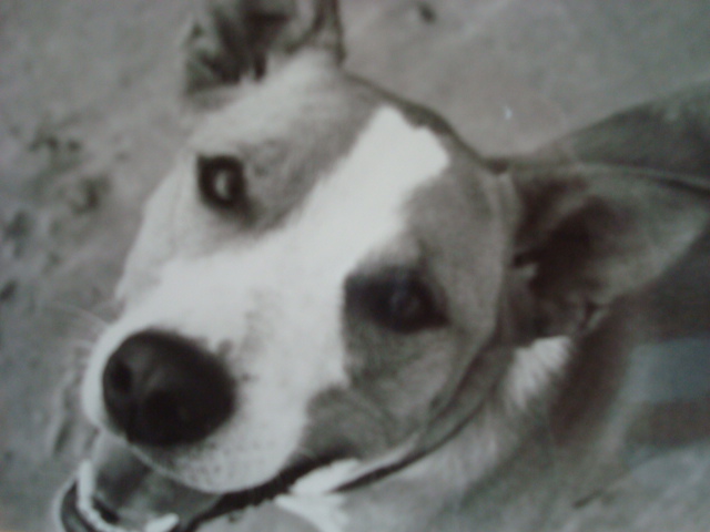 rp_dsc02847.JPG
