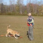 Natural Dog Training DVD progress