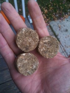 Power Patties In Hand