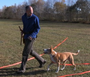 Neil Sattin and Dog Nola Heeling
