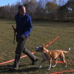 Dog Fancy Magazine Features Kevin Behan, Neil Sattin and Natural Dog Training