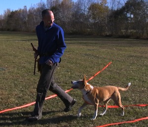 Neil Sattin Heeling With His Dog Nola