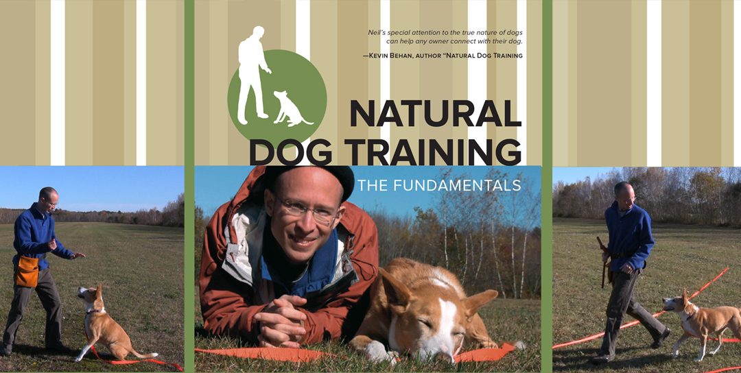 naturaldogdvdbanner