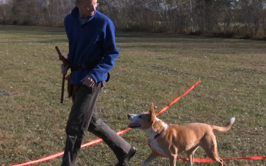 Neil and Nola Heeling